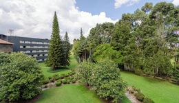 Movich Hotel Las Lomas