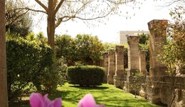 Hotel Del Campo