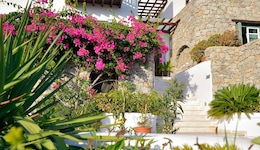 Pelican Bay Hotel