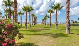 Acacia Resort MClub