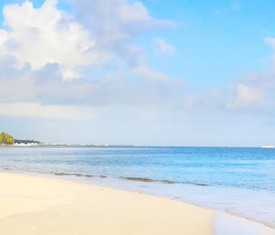 Le crociere più richieste per visitare: Bahamas
