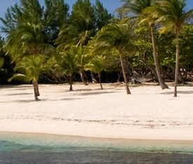 Le crociere più richieste per visitare: Isole Cayman