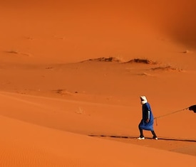 Le crociere più richieste per visitare: Tunisia