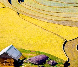 Le crociere più richieste per visitare: Vietnam