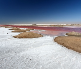 Le migliori offerte di crociere a Bahía de Walvis (Namibia)