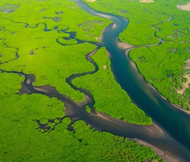 Le migliori offerte di crociere a Río Amazonas (Brazil)