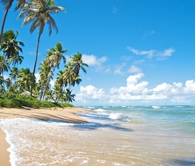 Le migliori offerte di crociere a Salvador de Bahia (Brasile)