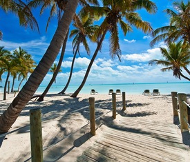 Le migliori offerte di crociere a Key west (U.S.A.)