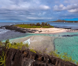Le migliori offerte di crociere a Bahía Elizabeth (Isla Isabela, Galápagos)
