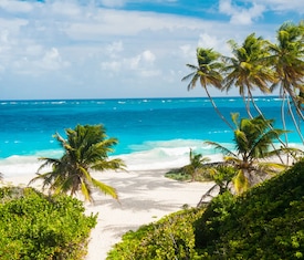 Le migliori offerte di crociere a Bridgetown (Barbados)