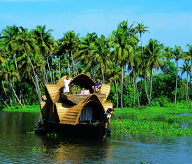 Le migliori offerte di crociere a Cochin (India)