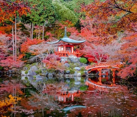 Le migliori offerte di crociere a Osaka (Japon)