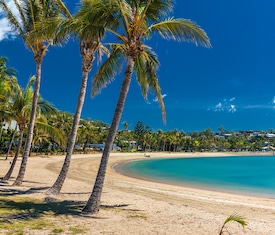 Le migliori offerte di crociere a Airlie Beach