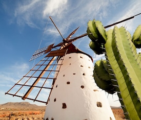 Le migliori offerte di crociere da Puerto del Rosario (Fuerteventura)