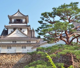Le migliori offerte di crociere a Kochi (Japón)