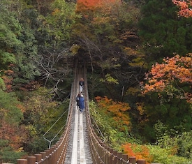 Le migliori offerte di crociere a Yatsushiro (Japón)