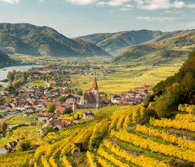 Le migliori offerte di crociere a Valle del Wachau (Austria) Navegacion