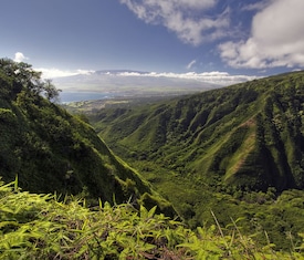 Le migliori offerte di crociere a Kahului, Maui