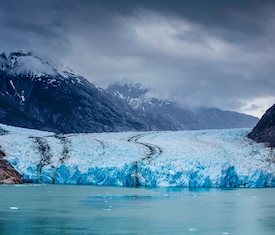 Le migliori offerte di crociere a Endicott Arm Fjord (Alaska)
