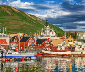 Le migliori offerte di crociere a Husavik (Islandia)
