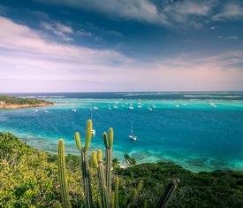 Le migliori offerte di crociere a Tobago Cays (Granadinas y San Vicente)