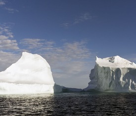 Le migliori offerte di crociere a Lower Savage Islands (Canadá)