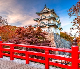 Le migliori offerte di crociere a Aomori (Giappone)