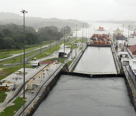Le migliori offerte di crociere a Gatun Lake (Panamá)
