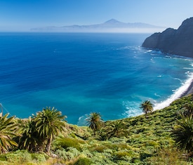 Le migliori offerte di crociere a Isole Catalina (Rep. Dominicana)