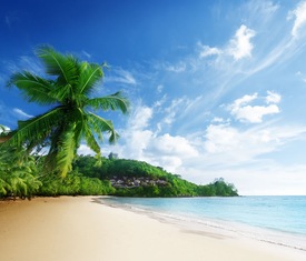 Le migliori offerte di crociere a Mahé (Seychelles)