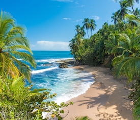 Le migliori offerte di crociere a Puerto Limón (Costa Rica)