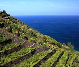 Le migliori offerte di crociere a La Gomera (Islas Canarias)