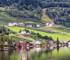 Le migliori offerte di crociere a Ulvik (Noruega)