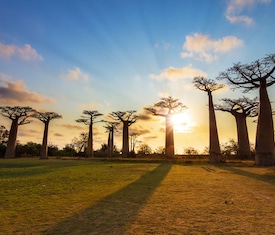 Le migliori offerte di crociere Tra Europa e Africa