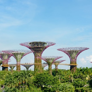 Itinerari in Asia