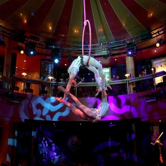 Cirque Dreams & Dinner: Cene con grande emozione!