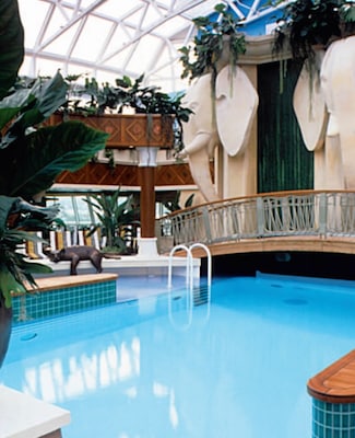 Immagine Radiance of the Seas 24