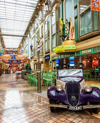 Immagine Allure of the Seas 37