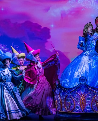 Immagine Disney Wonder 13