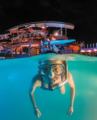 Immagine Harmony of the Seas 21