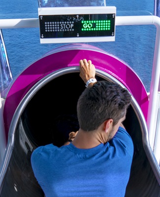 Immagine Symphony of the Seas 10