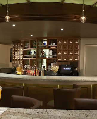 Immagine Carnival Liberty 8