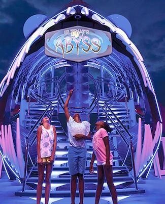 Immagine Symphony of the Seas 13