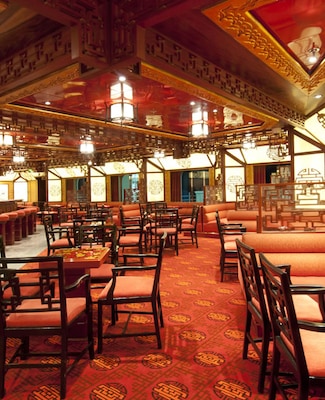 Immagine Carnival Spirit 12