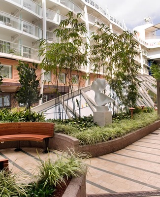 Immagine Oasis of the Seas 12