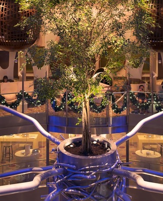 Immagine Celebrity Reflection 25