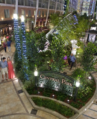 Immagine Allure of the Seas 22