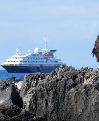 Immagine Silver Galápagos 1