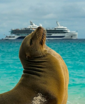 Immagine Celebrity Flora 11