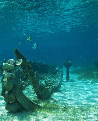 Immagine Disney Cruise Line 7